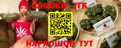 индика Малгобек
